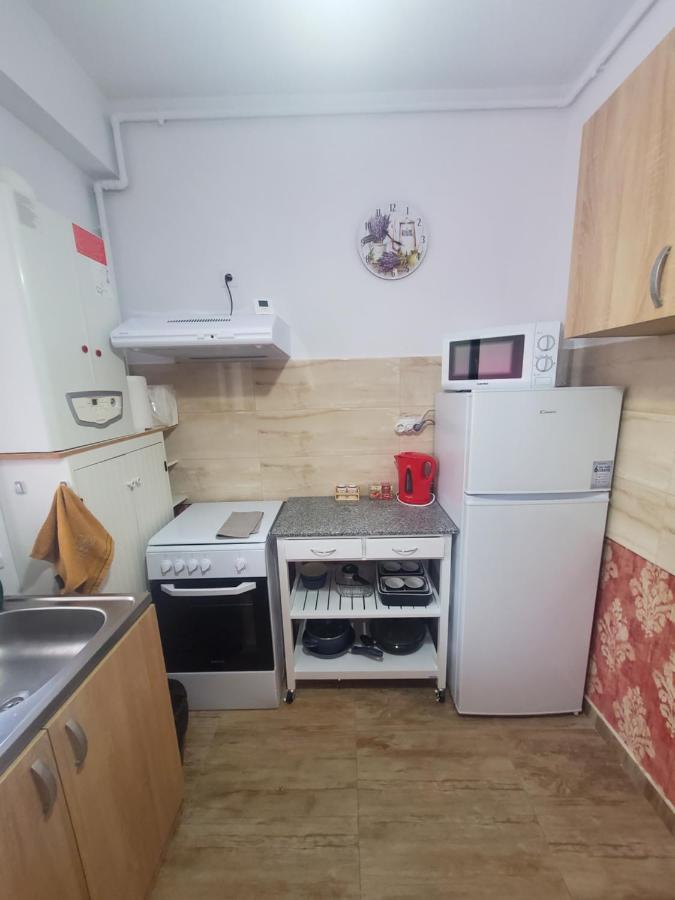 Morii Lake Special Apartment Bukarest Exterior foto